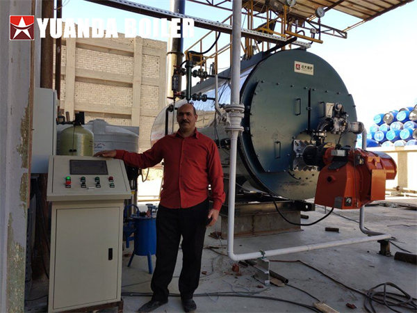 Automatic 4000kg Gas Oil Steam Boiler For Paper Industry In Egypt