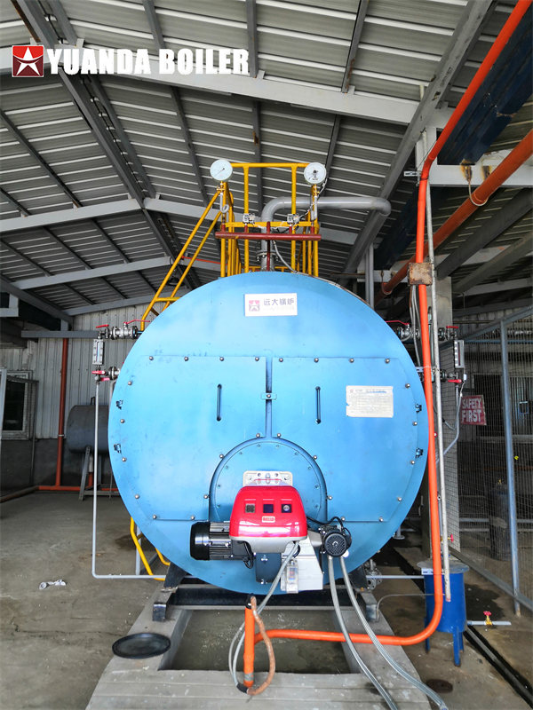 Philippines Feed Mill Use 3Ton Diesel Steam Boiler High Thermal Efficiency