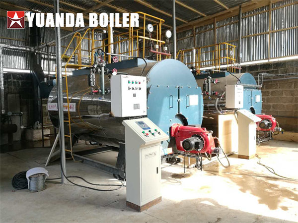 2Sets 2Ton Fuel Oil Steam Boiler For Tomato Sauce Factory In Ghana