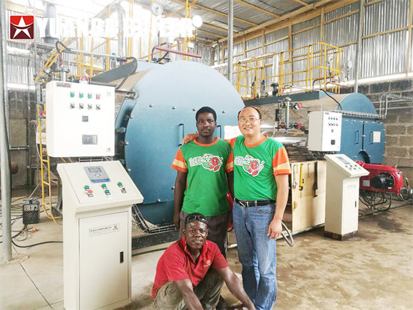 2Sets 2Ton Fuel Oil Steam Boiler For Tomato Sauce Factory In Ghana