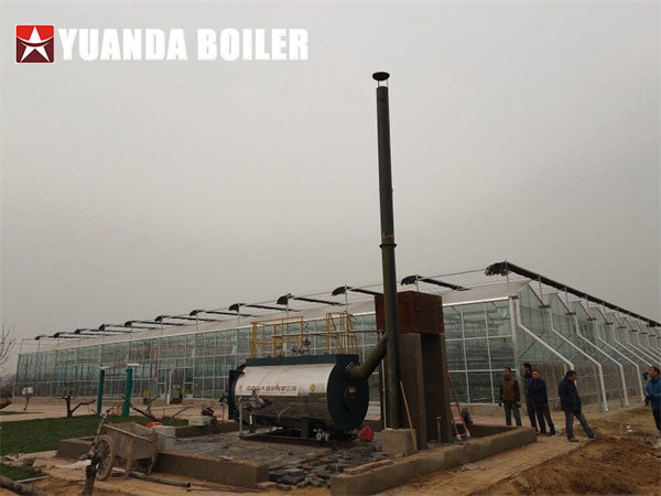 Uzbekistan Greenhouse Central Heating Boiler Gas Hot Water Boiler