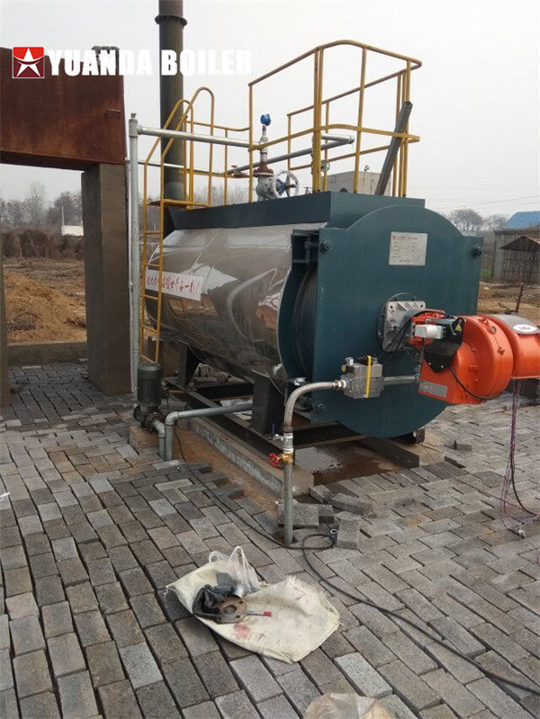 Uzbekistan Greenhouse Central Heating Boiler Gas Hot Water Boiler