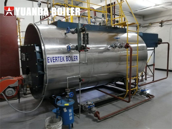 Jamaica Project 2tph Gas Steam Boiler Horizontal Boilers