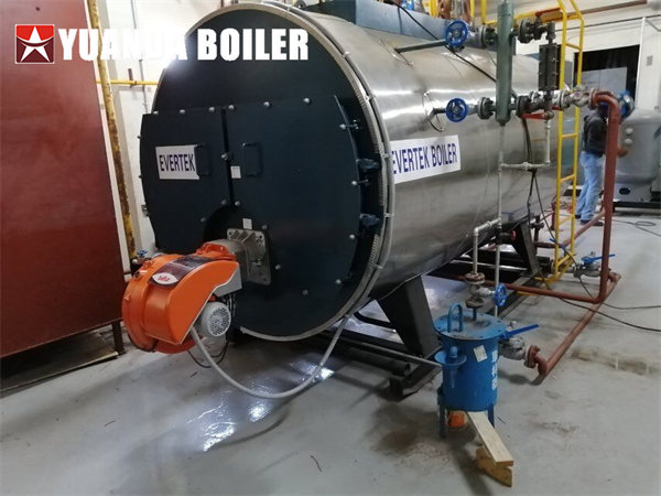 Jamaica Project 2tph Gas Steam Boiler Horizontal Boilers