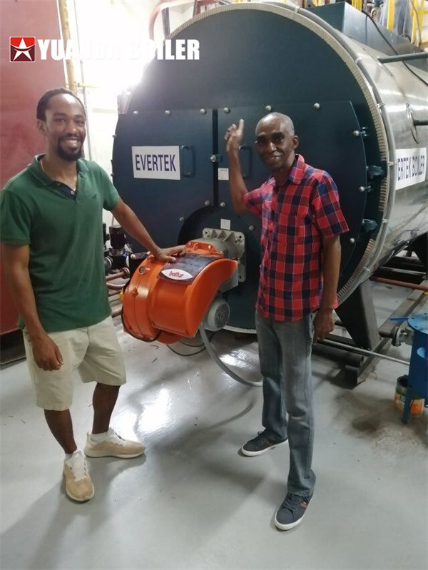 Jamaica Project 2tph Gas Steam Boiler Horizontal Boilers