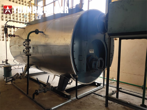 Burkina Faso 2Ton Heavy Oil Burner Boiler Running