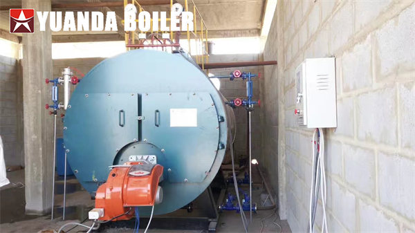 Senegal Palm Oil Factory Use Diesel Oil Steam Boiler 2Ton/hr