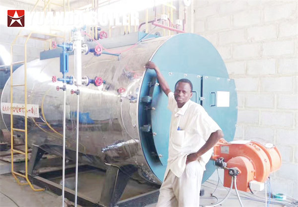 Senegal Palm Oil Factory Use Diesel Oil Steam Boiler 2Ton/hr