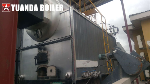 South Africa 4Ton Coal Boiler Automatic Steam Boiler For Plastics Industry