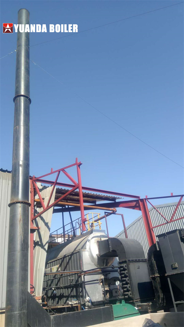 South Africa 4Ton Coal Boiler Automatic Steam Boiler For Plastics Industry