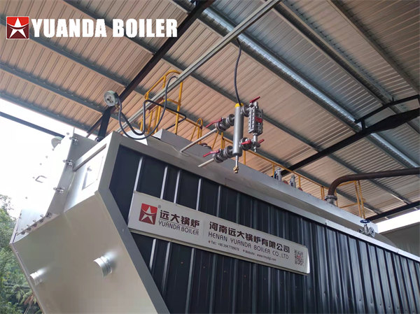 Sri Lanka Chemical Company Use 6Ton Biomass Steam Boiler