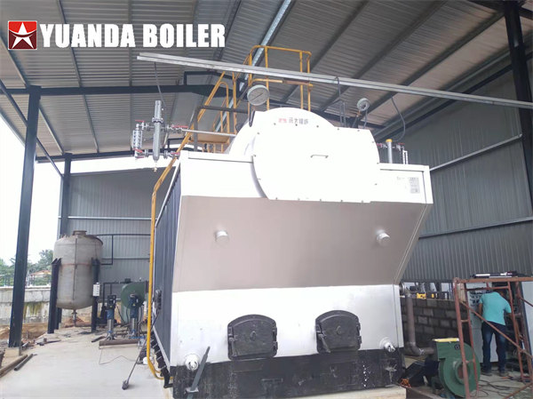 Sri Lanka Chemical Company Use 6Ton Biomass Steam Boiler