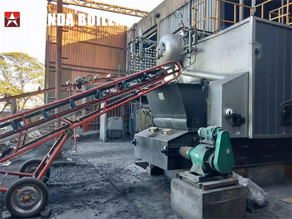 SZL 6Ton Biomass Wood Boiler Installation In Malawi