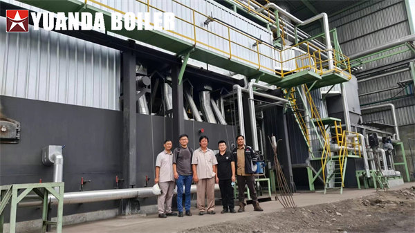 Food Beverage Company Use Coal Steam Boiler 20Ton/Hr