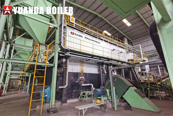 Food Beverage Company Use Coal Steam Boiler 20Ton/Hr