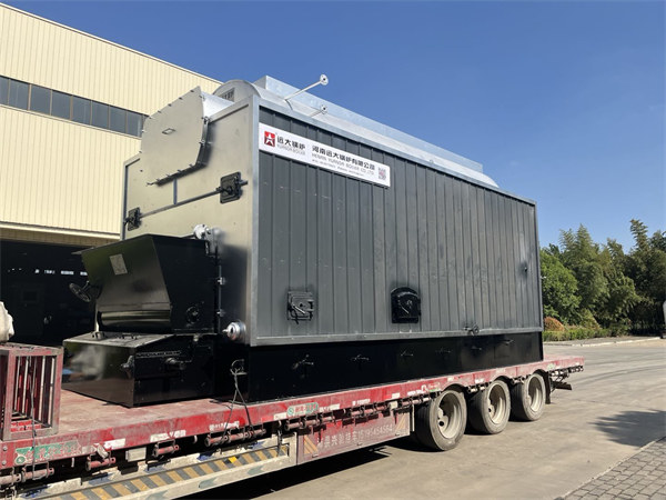 6Ton Chain Grate Coal Boiler Deliver to Tanzania Packaging Plant