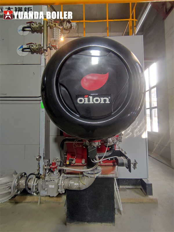 25Ton Gas Steam Boiler For Lithium Battery Industry