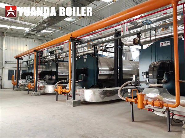 7000kw Gas Thermal Oil Boiler For New Energy Industry