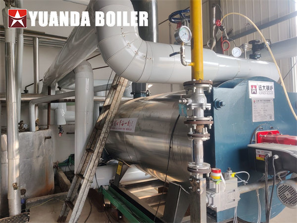 Horizontal Gas Thermal Oil Boiler 700kw Project