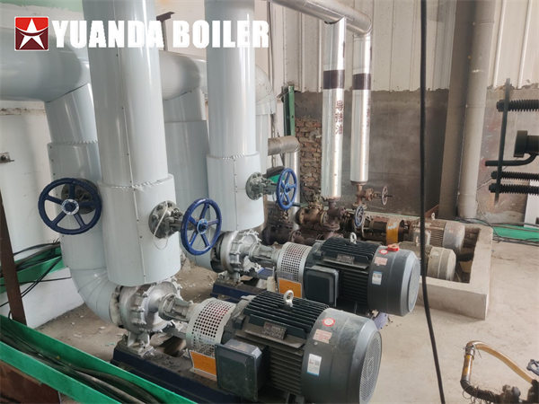 Horizontal Gas Thermal Oil Boiler 700kw Project