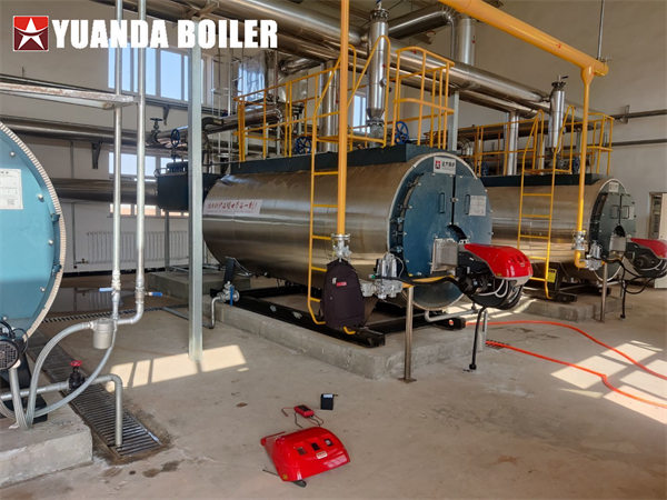 Industrial Hot Water Heater 700kw Biogas Fired Boiler For Central Heating
