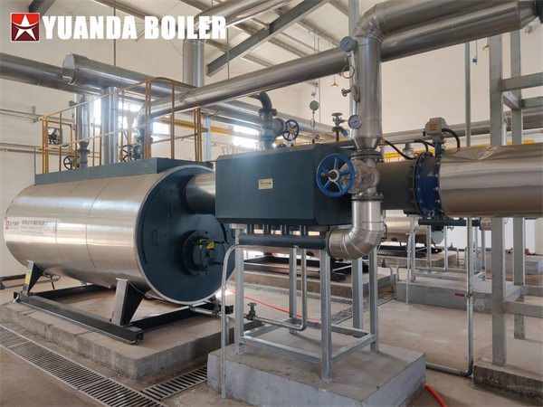 Industrial Hot Water Heater 700kw Biogas Fired Boiler For Central Heating