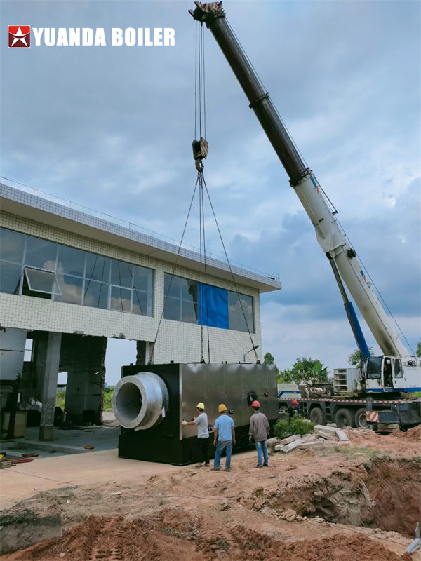 10tph Biomass Burner Boiler For Pharmaceutical Industry