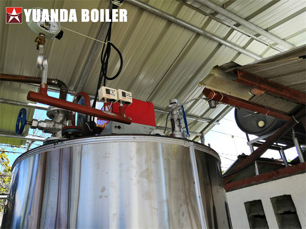 LHS 300kg Gas Steam Boiler For Chicken Processing Factory In Burundi