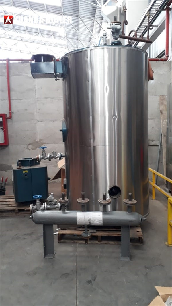 Ecuador 500kg Gas Boiler Vertical Steam Boiler For Heating Process