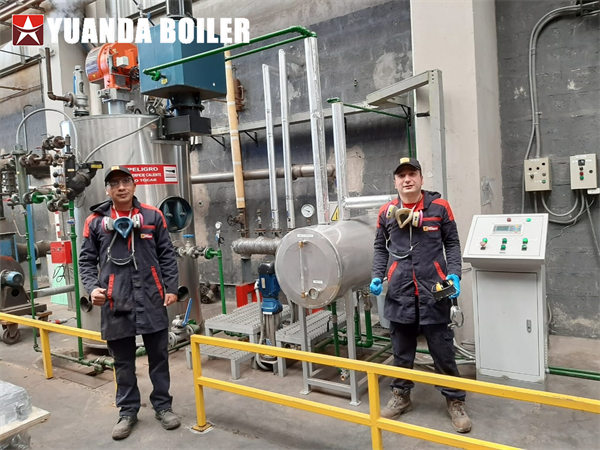 Ecuador 500kg Gas Boiler Vertical Steam Boiler For Heating Process