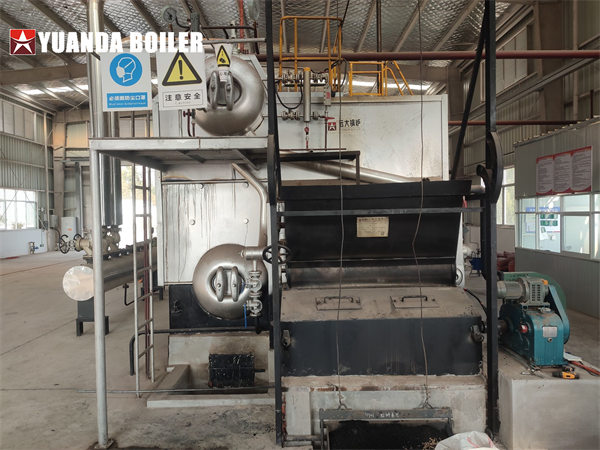 6Ton Water Tube Biomass Fuel Steam Boiler With Automatic Feeding