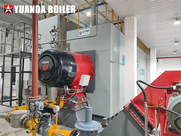 20Ton Water Tube Steam Boiler Automatic Gas Boiler For Chemical Industry Company
