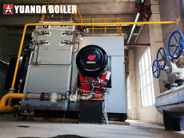 SZS Series Gas Fired Boiler 25Tph Water Tube Boiler