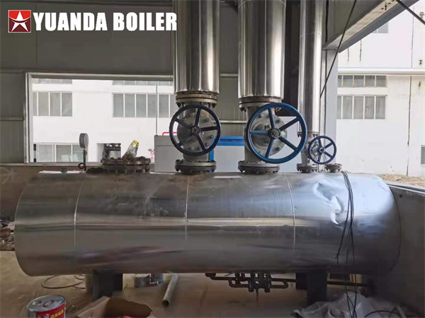 Industrial Gas Fired Boiler 30ton/hr Steam Boiler For Battery Industry