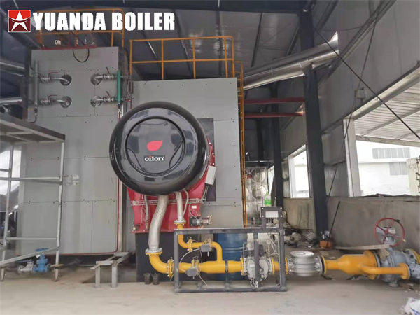 Industrial Gas Fired Boiler 30ton/hr Steam Boiler For Battery Industry