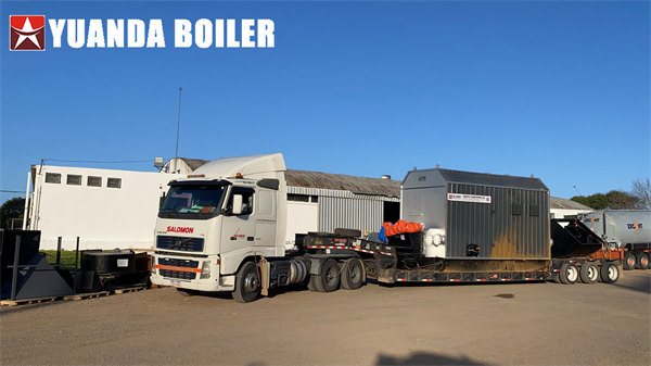 2900kw Wood Biomass Thermal Oil Furnace Deliver to Uruguay