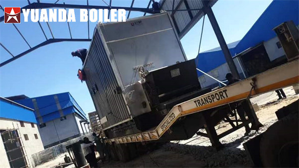 Zambia Eggs Trayers Production Use 2100kw Biomass Thermal Oil Boiler