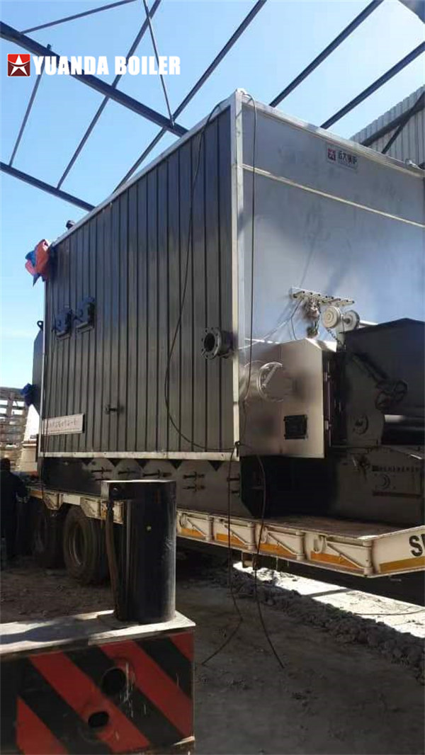 Zambia Eggs Trayers Production Use 2100kw Biomass Thermal Oil Boiler