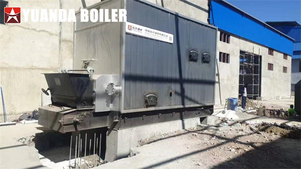 Zambia Eggs Trayers Production Use 2100kw Biomass Thermal Oil Boiler