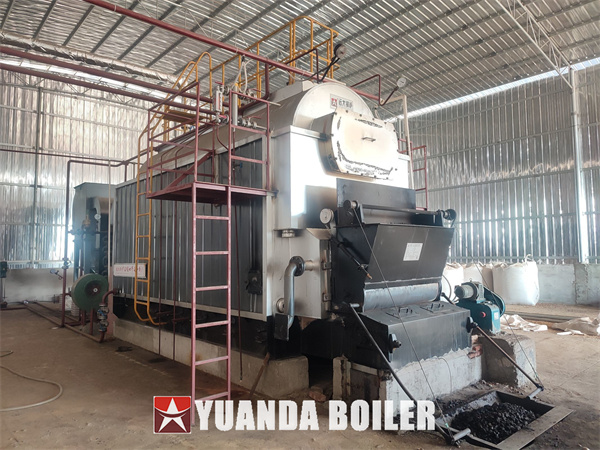 DZL Coal Fired Boiler 4Ton Steam Boiler Running Site