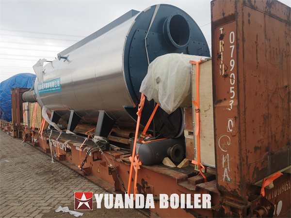 Indonesia Fire Tube Boiler 20Ton Gas Boiler WNS Packaged Three Pass Steam Boiler