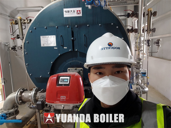 Roquette Food Company Use 2Ton Gas Steam Boiler