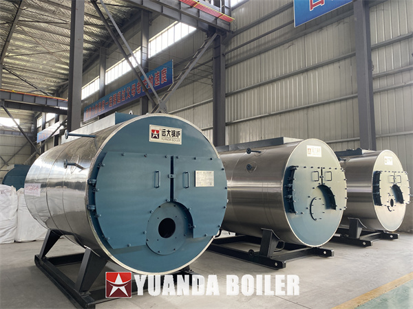 WNS Gas Oil Steam Boiler, 10Ton Fire Tube Boiler Proper