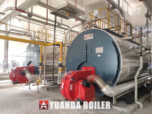 10Ton * 2Sets Gas Fired Steam Boiler With Economizer, Used in Pharmaceutical Factory
