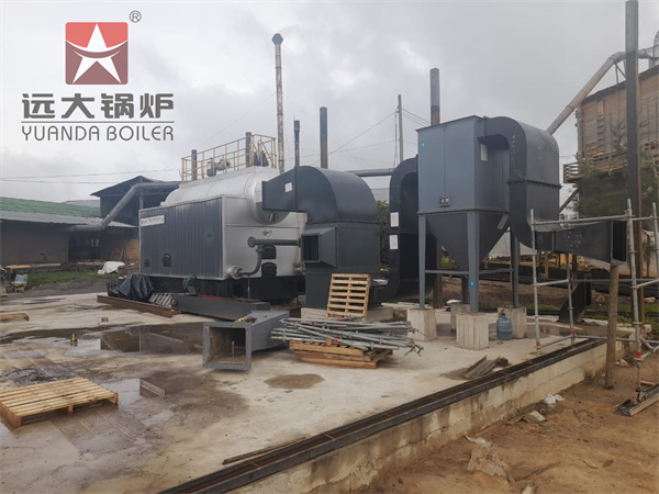 DZW Series Biomass Hot Water Boiler 4200kw For Heating System in Production Line