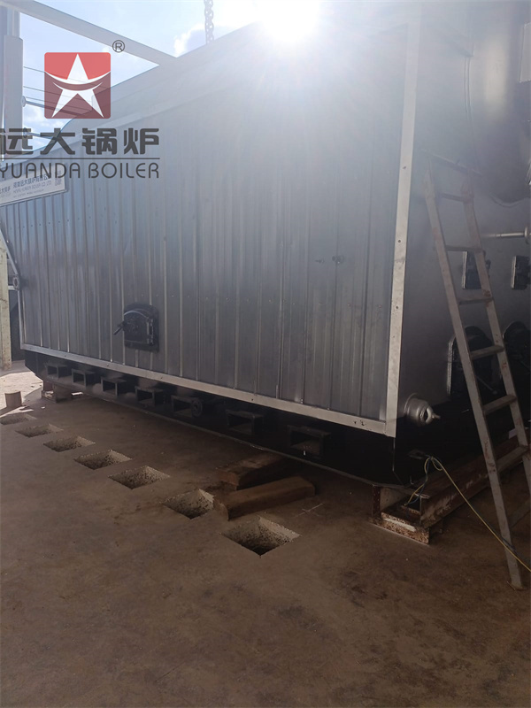 DZH 6Ton Woodchips Firewood Burning Steam Boiler For Tea Factory Kenya