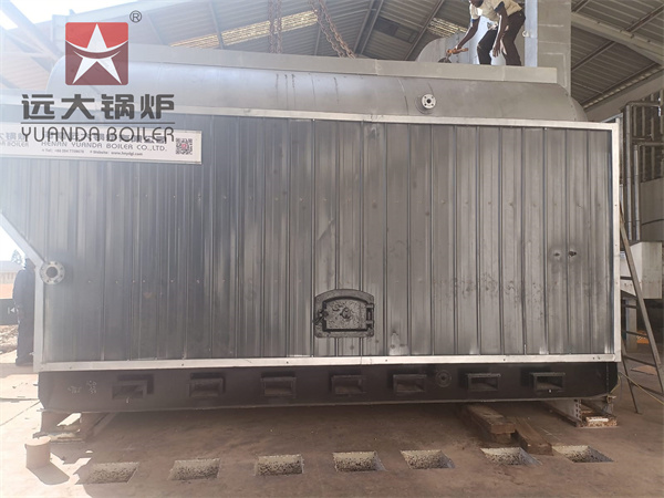 DZH 6Ton Woodchips Firewood Burning Steam Boiler For Tea Factory Kenya