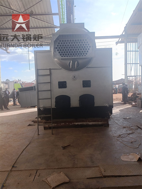 DZH 6Ton Woodchips Firewood Burning Steam Boiler For Tea Factory Kenya