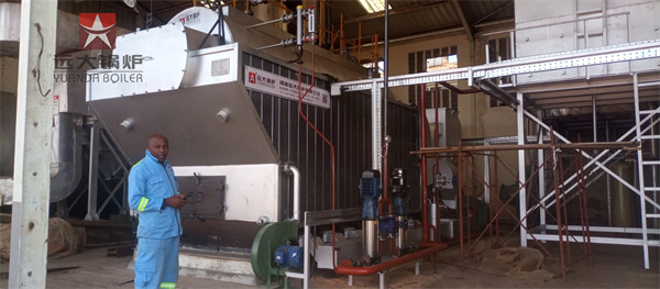 6000kg Wood Steam Boiler Manual Travelling Grate Boiler In Tea Factory