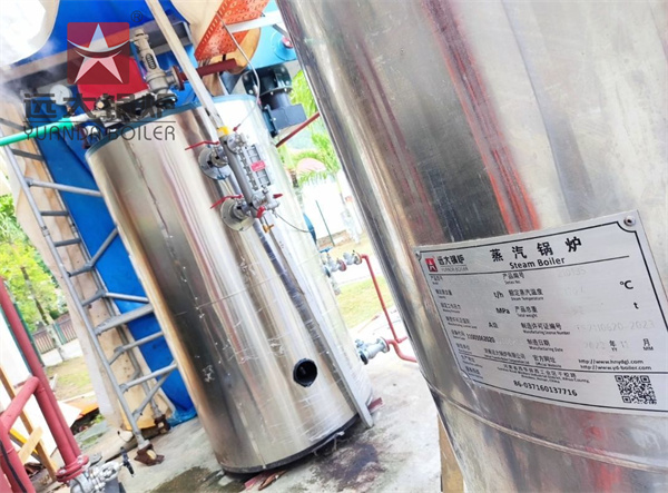 Vertical Steam Boiler 500kg Gas Boiler For Hotel